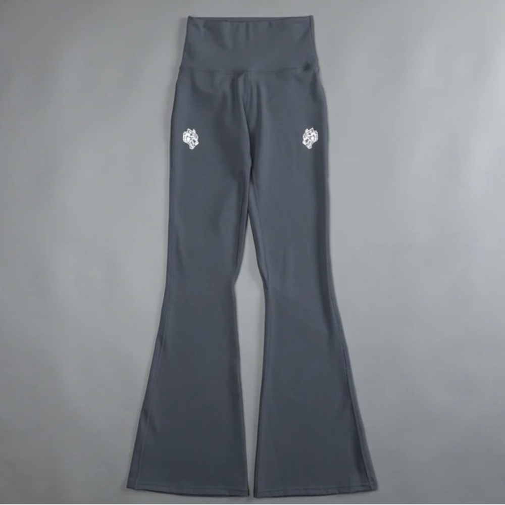 DARC SPORT S Flare Leggings